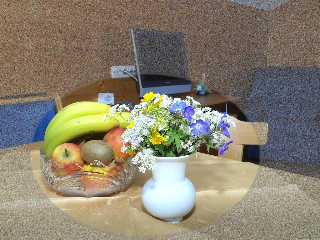 Ferienbauernhof Moosbrugger Appartement Schoppernau Kamer foto